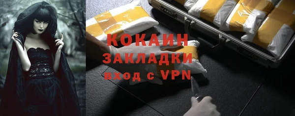 прущие грибы Богданович