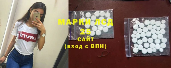 PSILOCYBIN Белокуриха