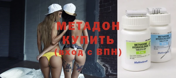 прущие грибы Богданович