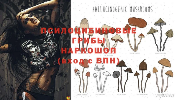 бутират Белоозёрский
