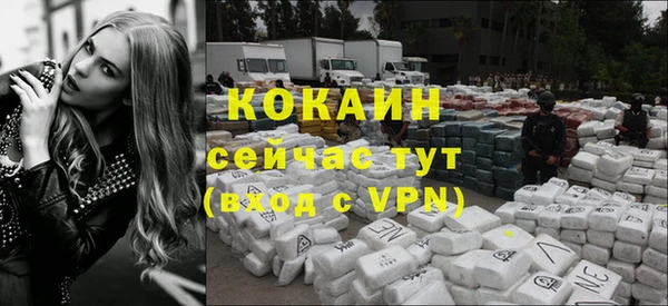 2c-b Богородицк