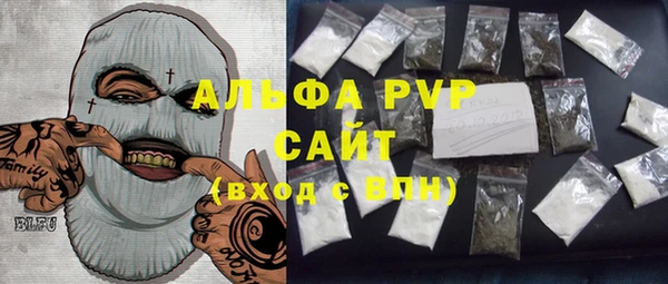 PSILOCYBIN Белокуриха