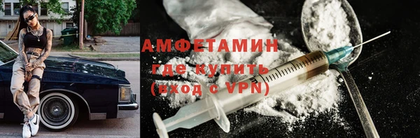 прущие грибы Богданович