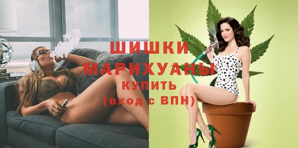 PSILOCYBIN Белокуриха