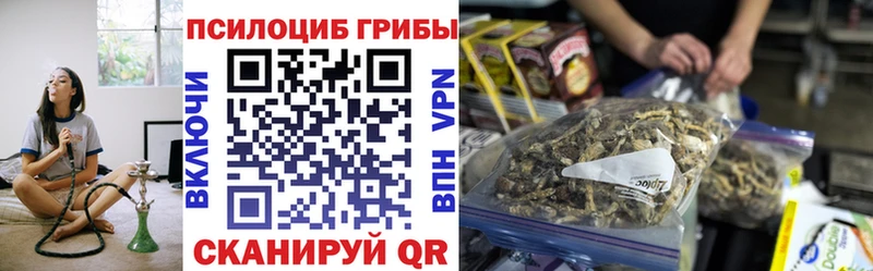 Псилоцибиновые грибы прущие грибы  Бугульма 
